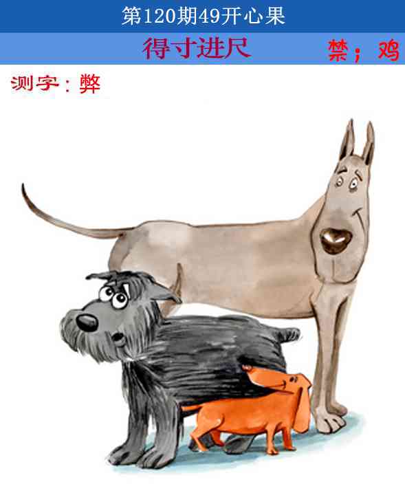 六合彩120期四九开心果