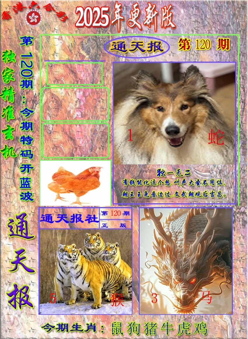 六合彩120期新通报