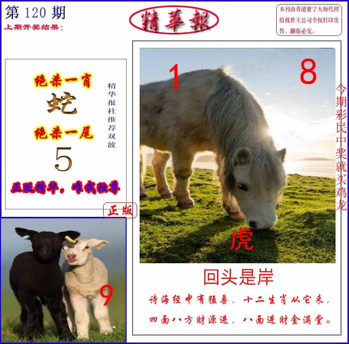 六合彩120期新精华报报