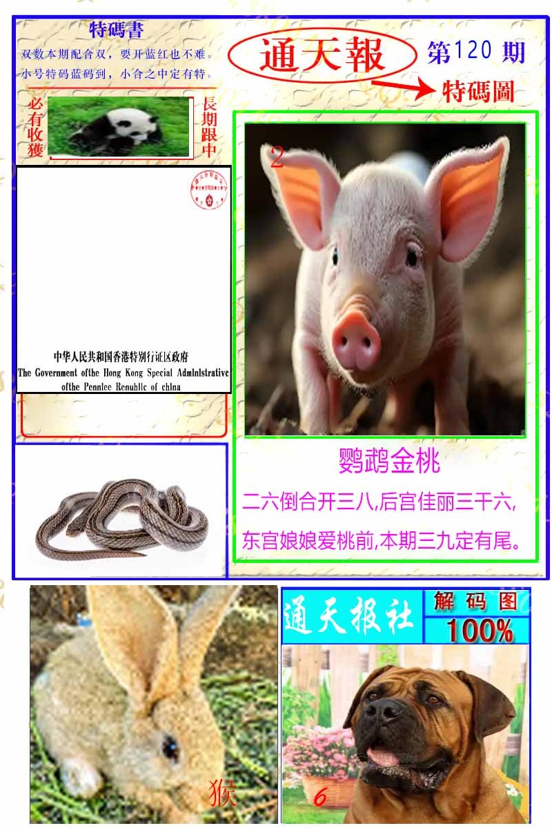 六合彩120期通天特解图