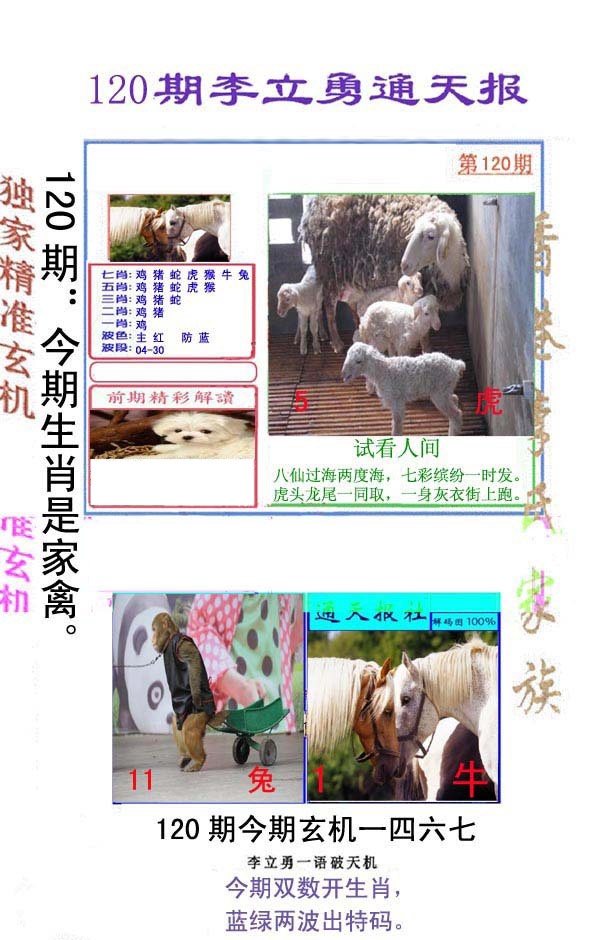 六合彩120期李立勇通天报