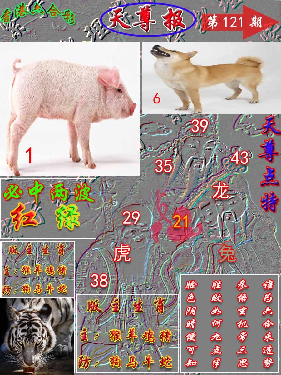 六合彩121期天尊报