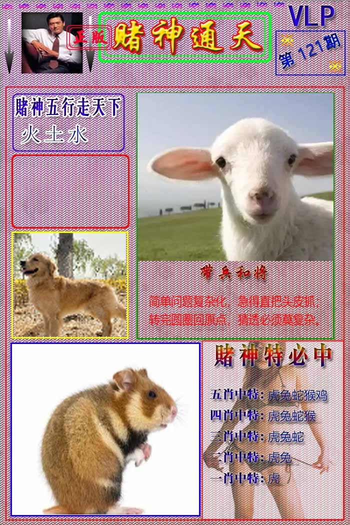 六合彩121期赌神通天报