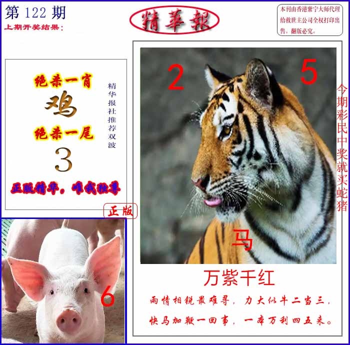 六合彩122期新精华报报
