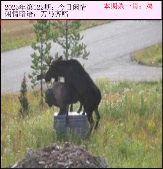 六合彩122期今日闲情