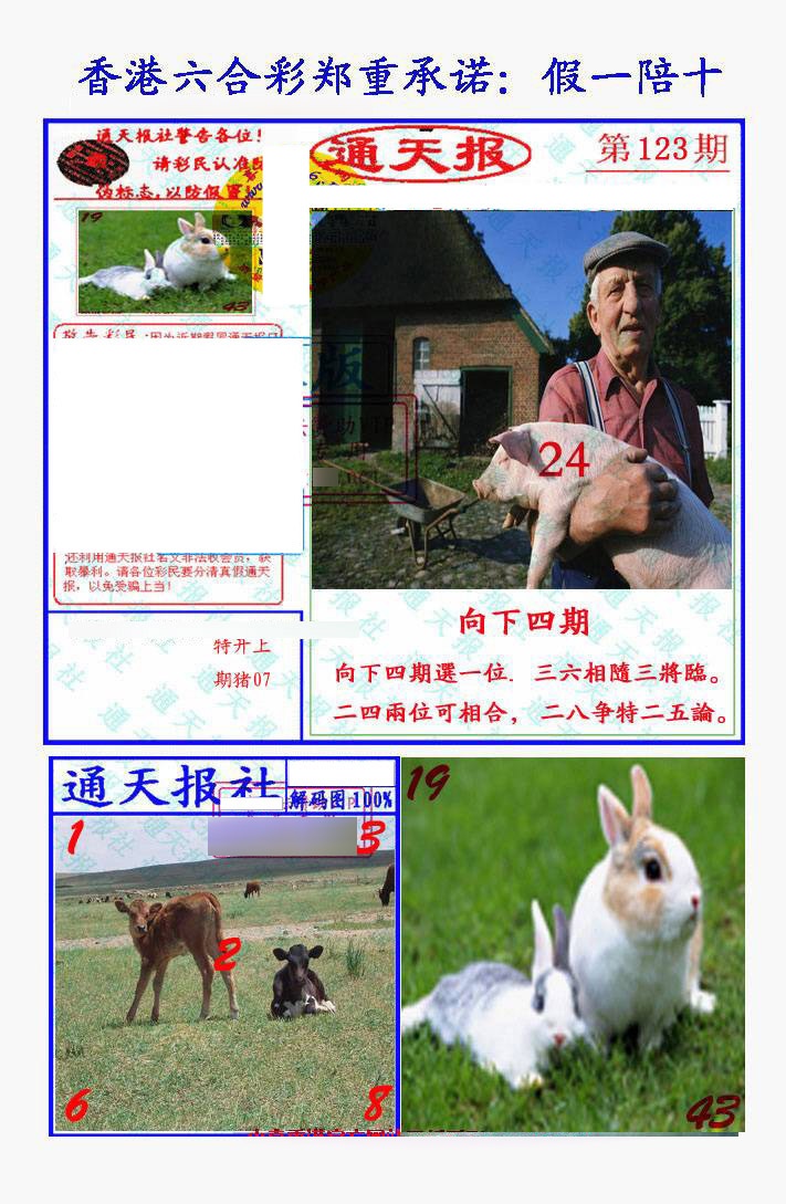 六合彩123期假一陪十通天报