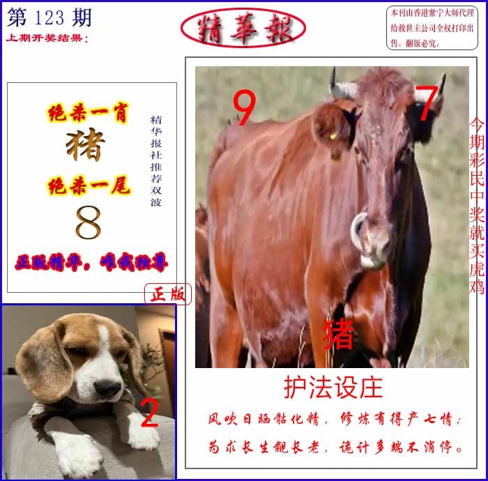 六合彩123期新精华报报