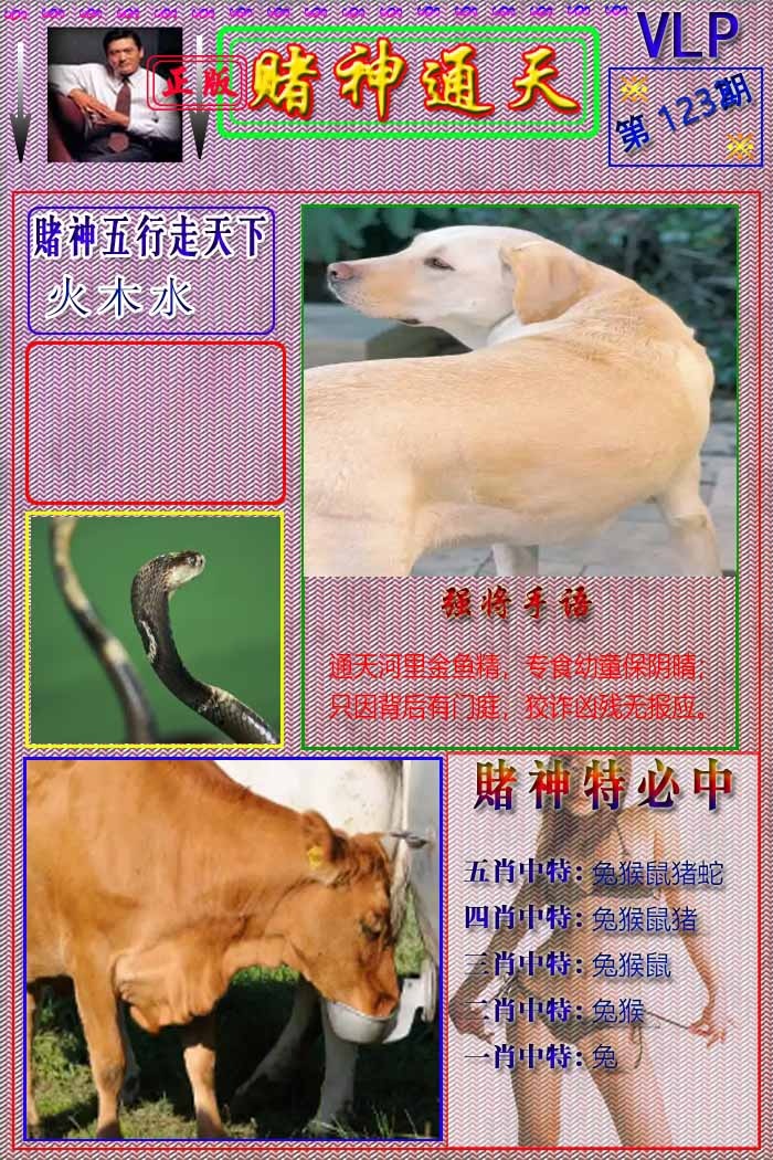 六合彩123期赌神通天报
