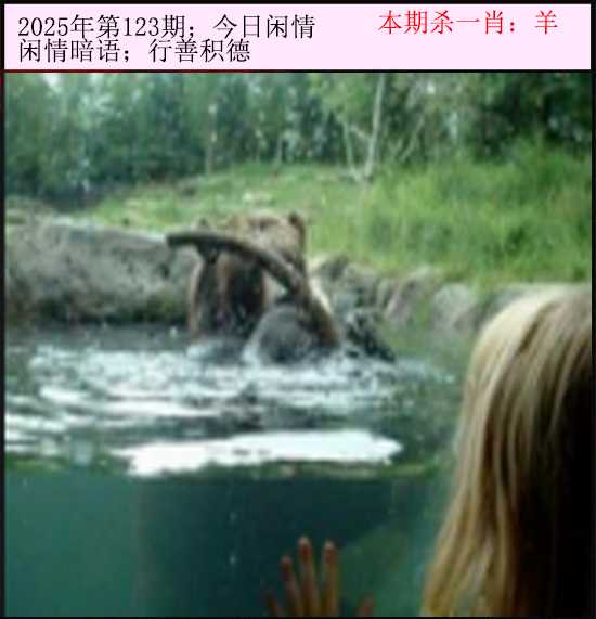 六合彩123期今日闲情