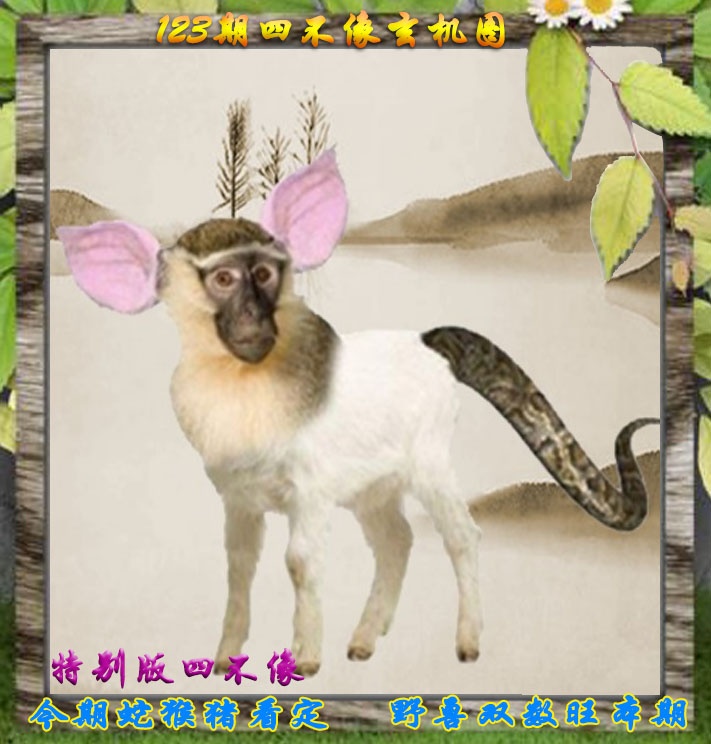 六合彩123期四不像特别版