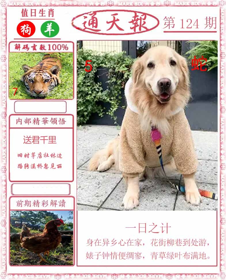 六合彩124期正版通天报