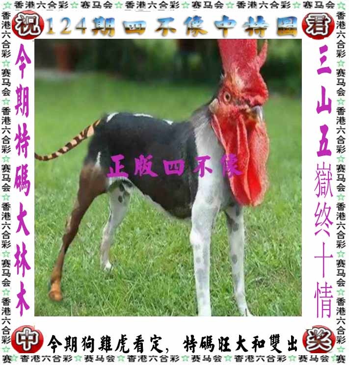 六合彩124期正版四不像