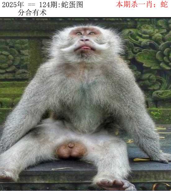 六合彩124期正版蛇蛋图