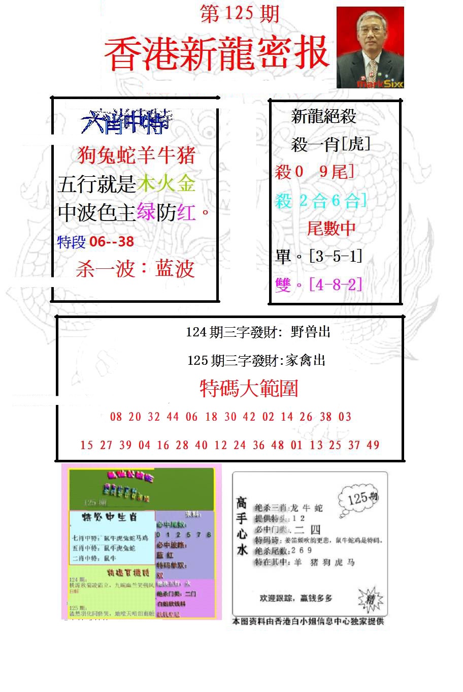 六合彩125期新龙密报