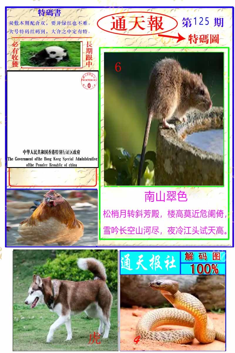 六合彩125期通天特解图
