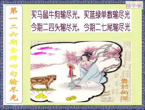 六合彩126期金牌四句输尽光