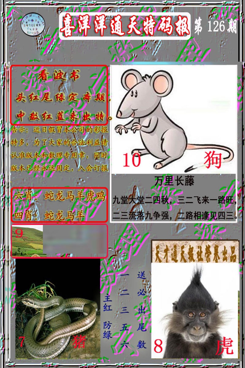 六合彩126期洋通报