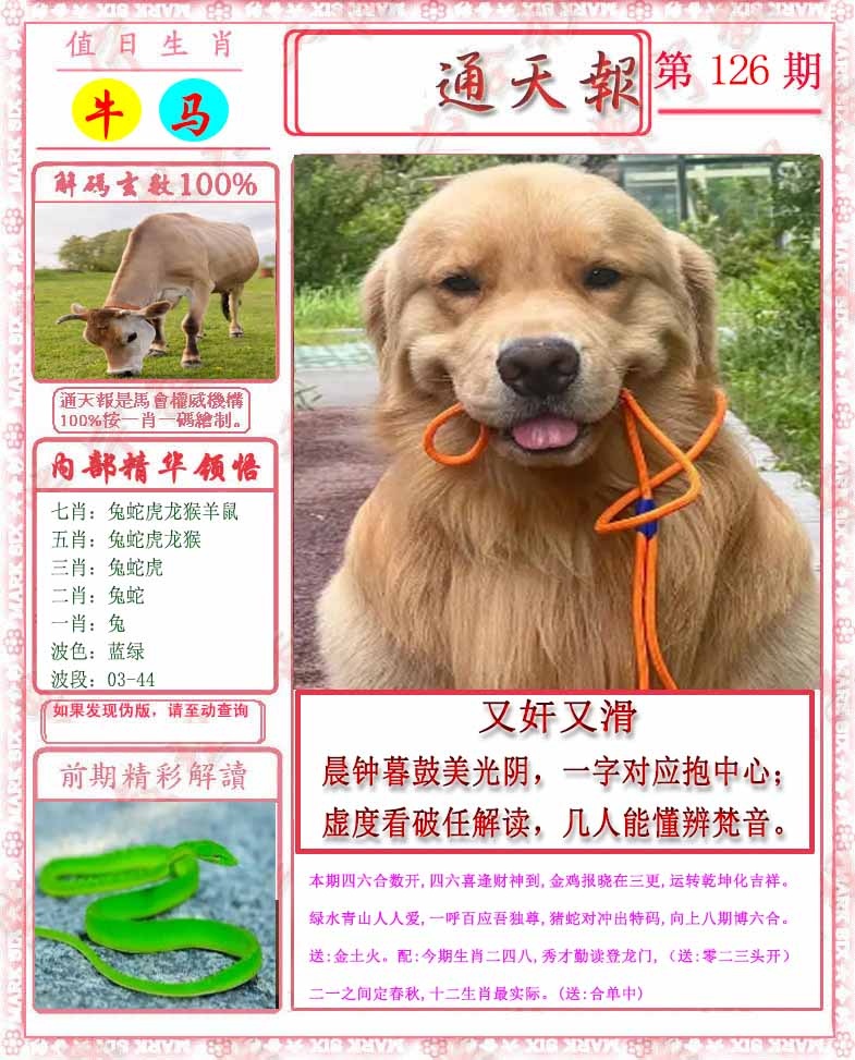 六合彩126期马经通天报
