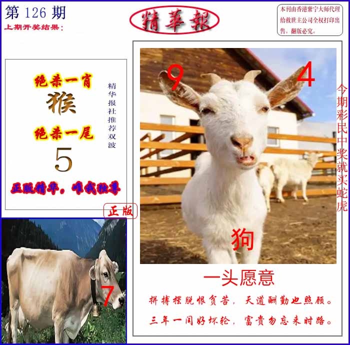 六合彩126期新精华报报