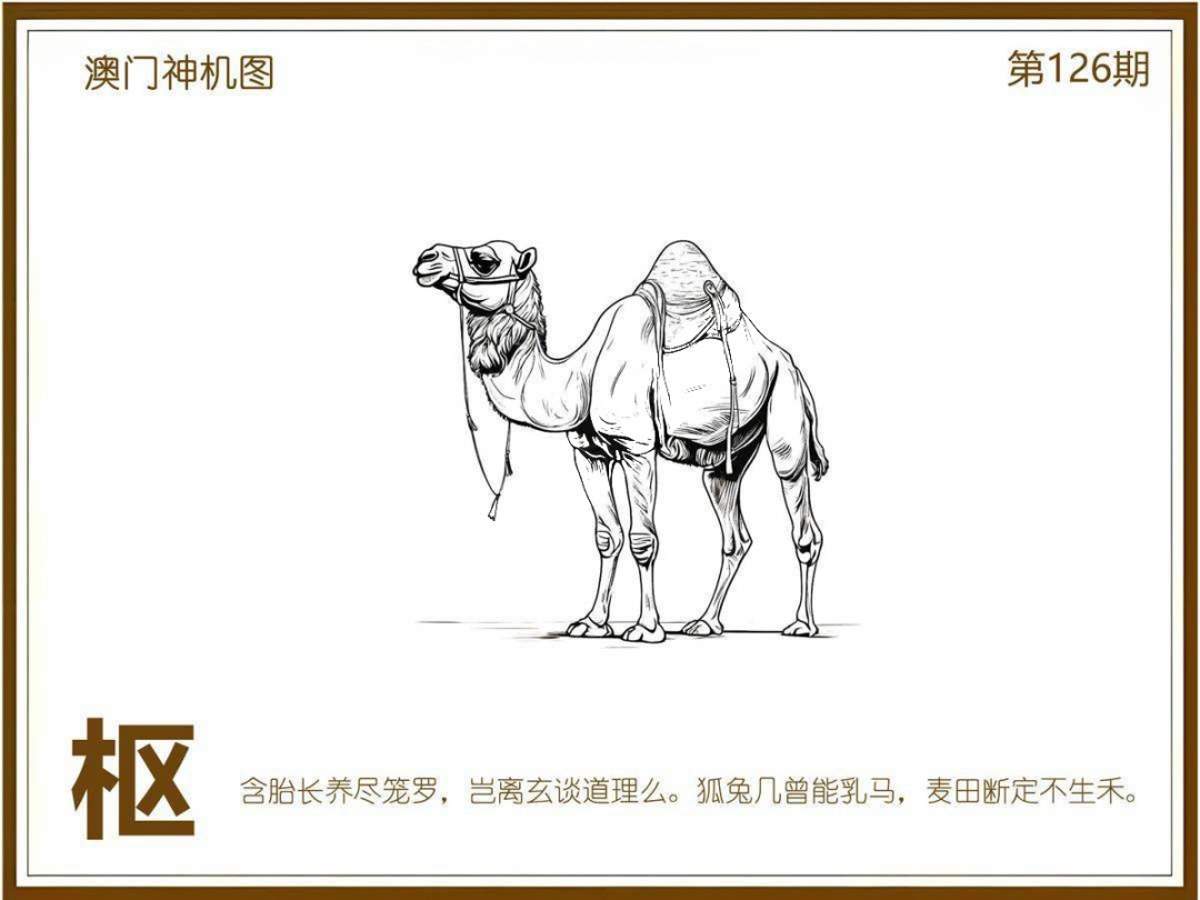 六合彩126期澳门神机图