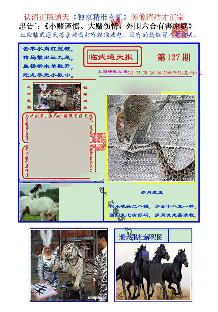六合彩127期临武通天报
