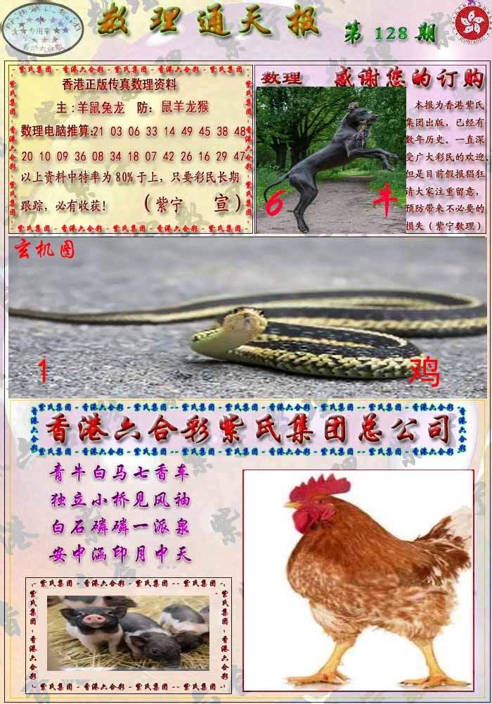 六合彩128期数通报