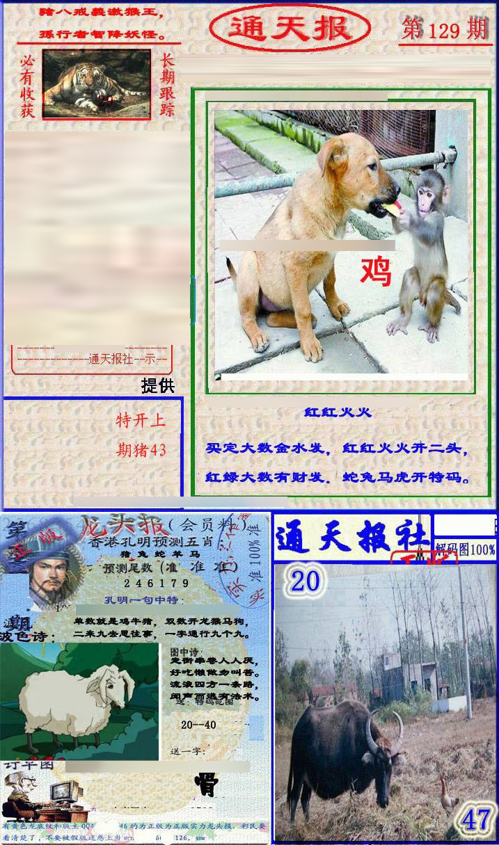 六合彩129期实力通天报