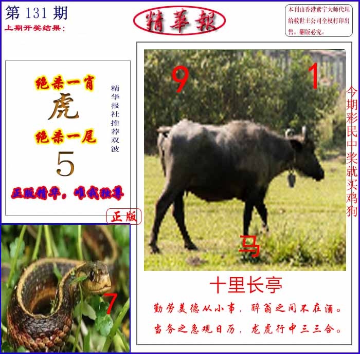 六合彩131期新精华报报