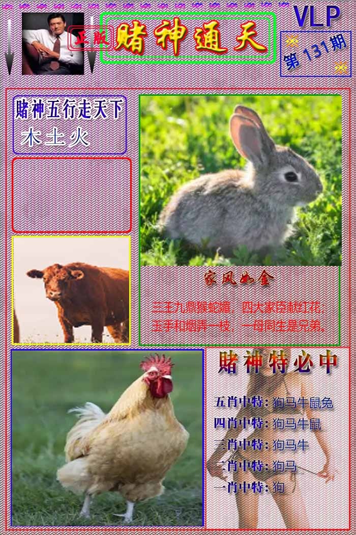 六合彩131期赌神通天报