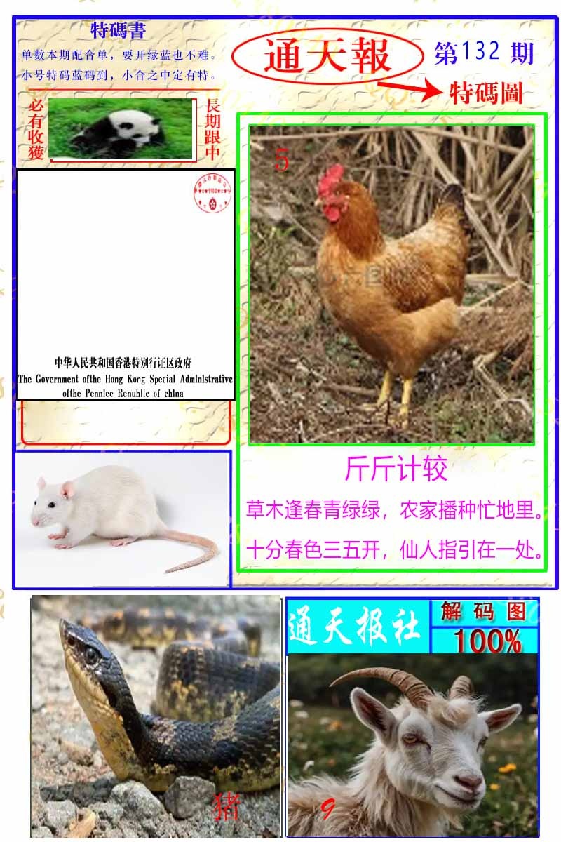 六合彩132期通天特解图