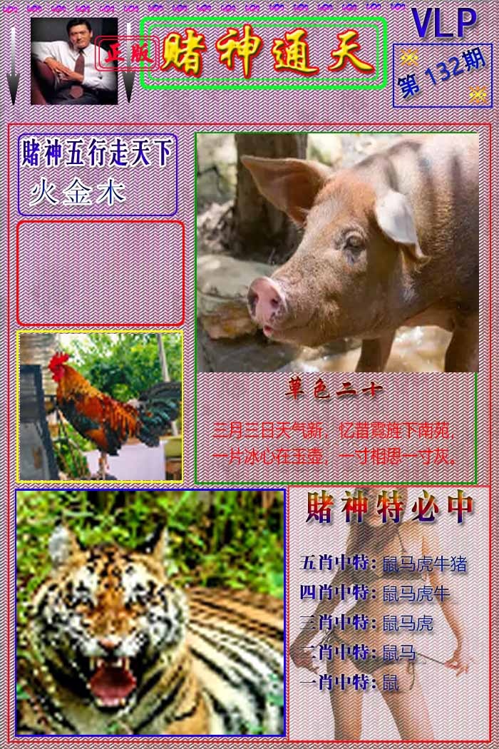 六合彩132期赌神通天报