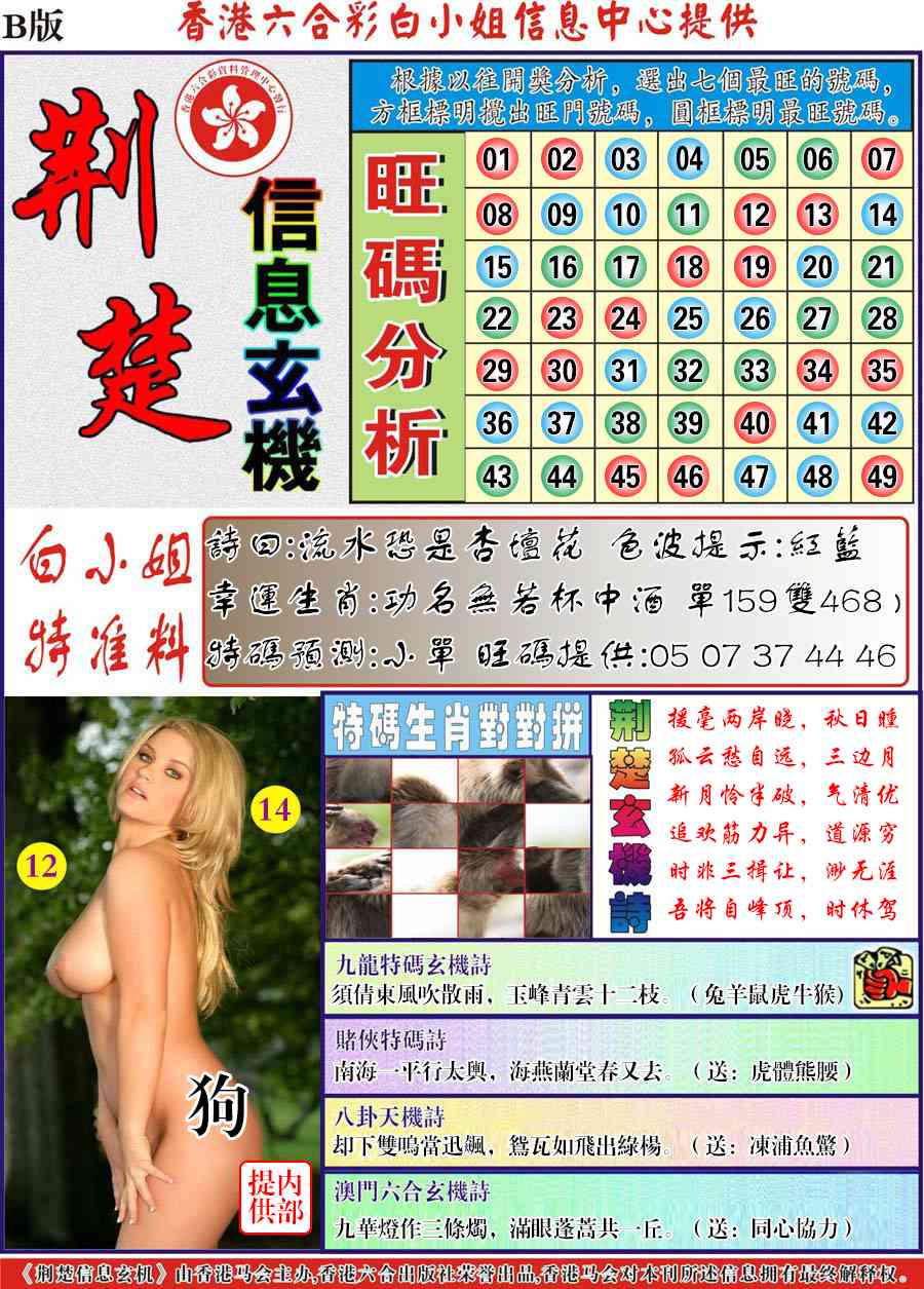 六合彩133期荆楚信息玄机B