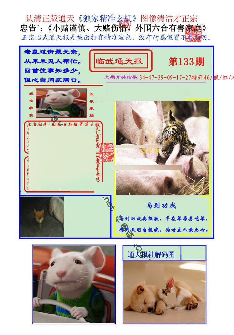 六合彩133期临武通天报