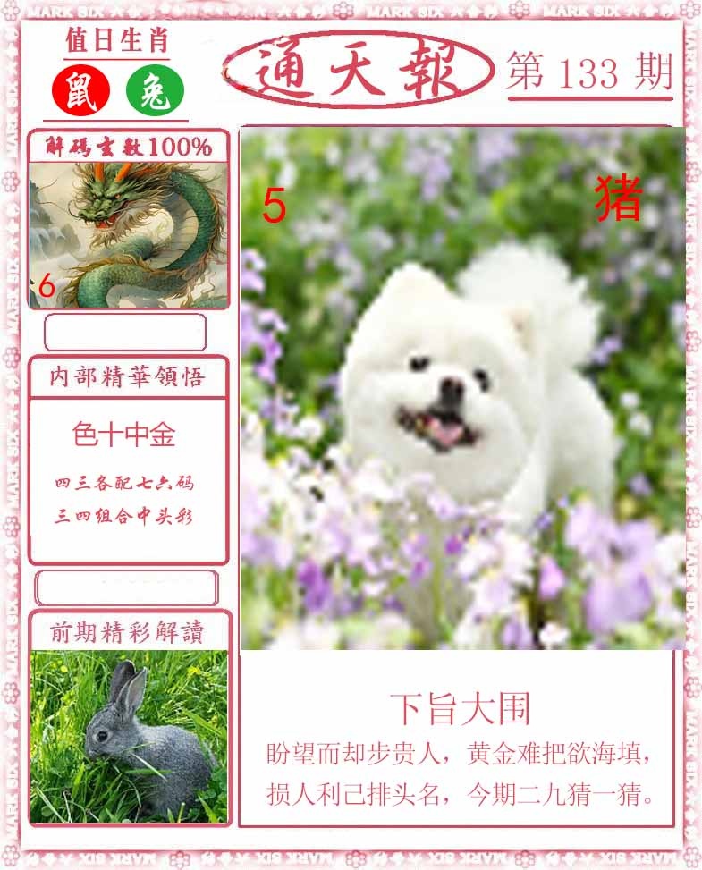 六合彩133期正版通天报