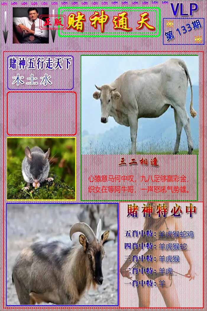 六合彩133期赌神通天报