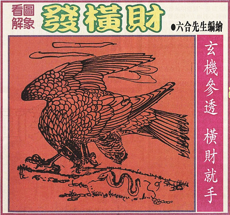 六合彩133期大财经发财图