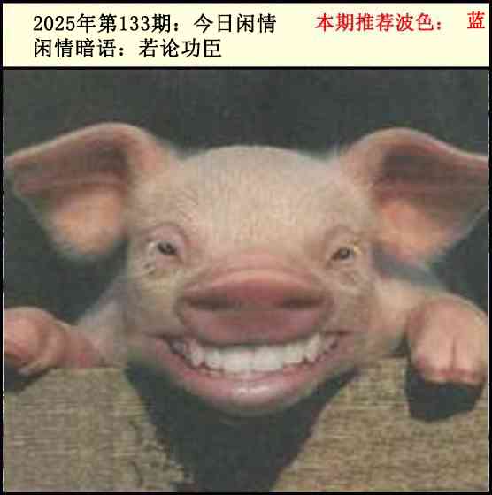 六合彩133期今日闲情2