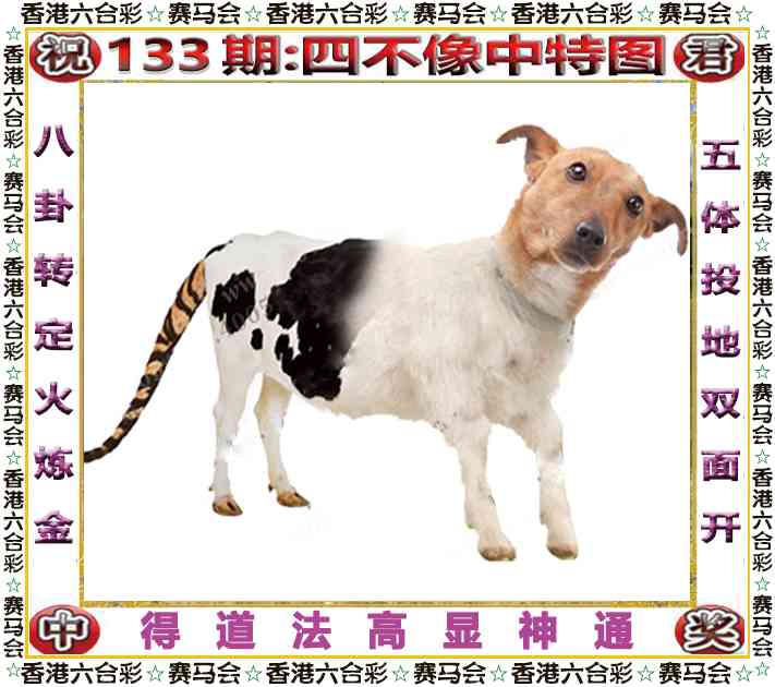 六合彩133期四不像中特图