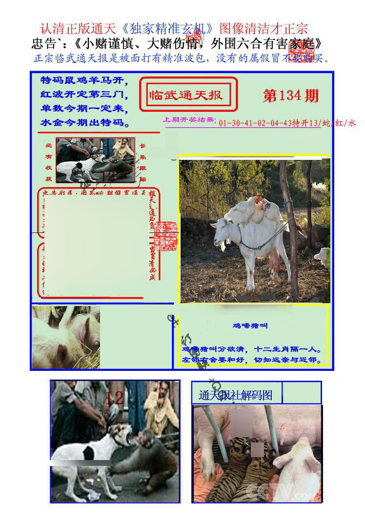 六合彩134期临武通天报