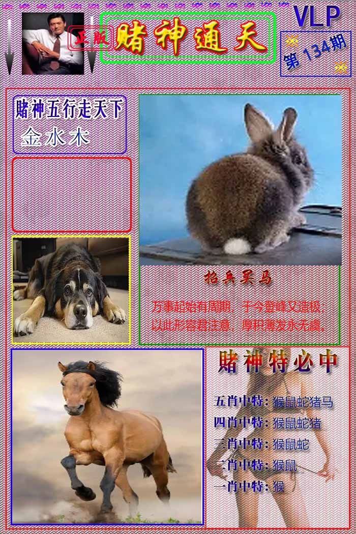 六合彩134期赌神通天报