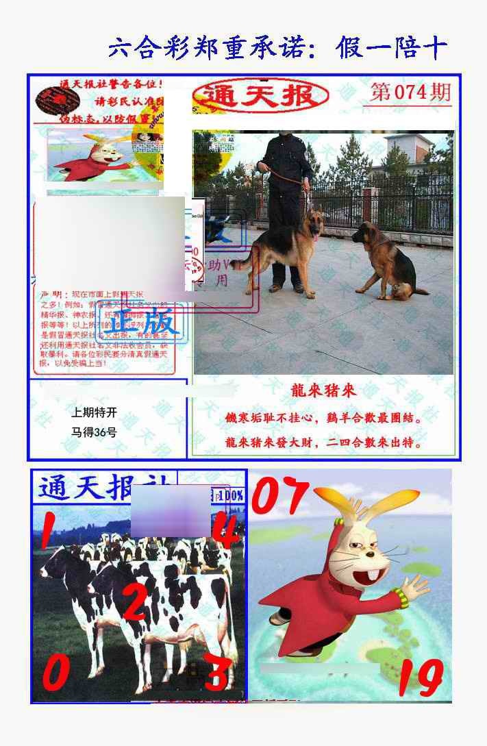六合彩074期假一陪十通天报