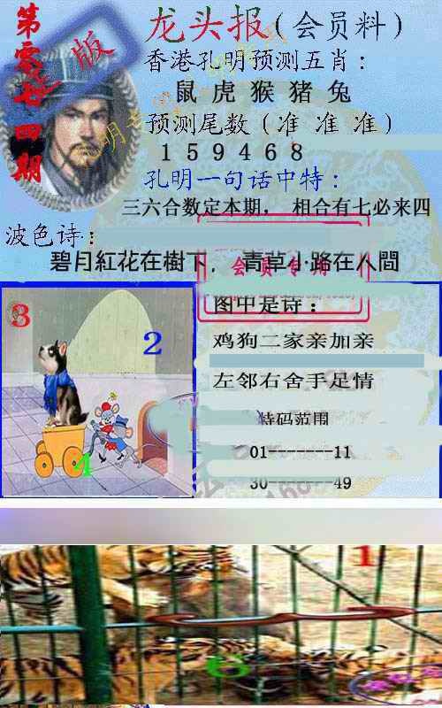 六合彩074期龙头报