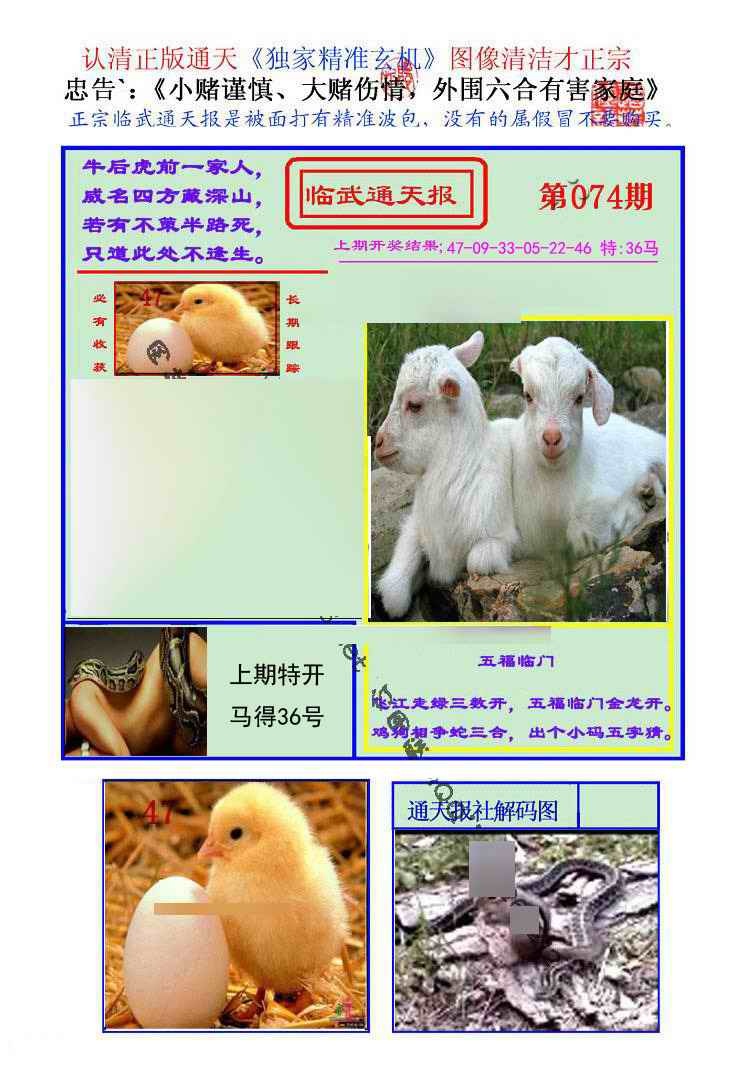 六合彩074期临武通天报