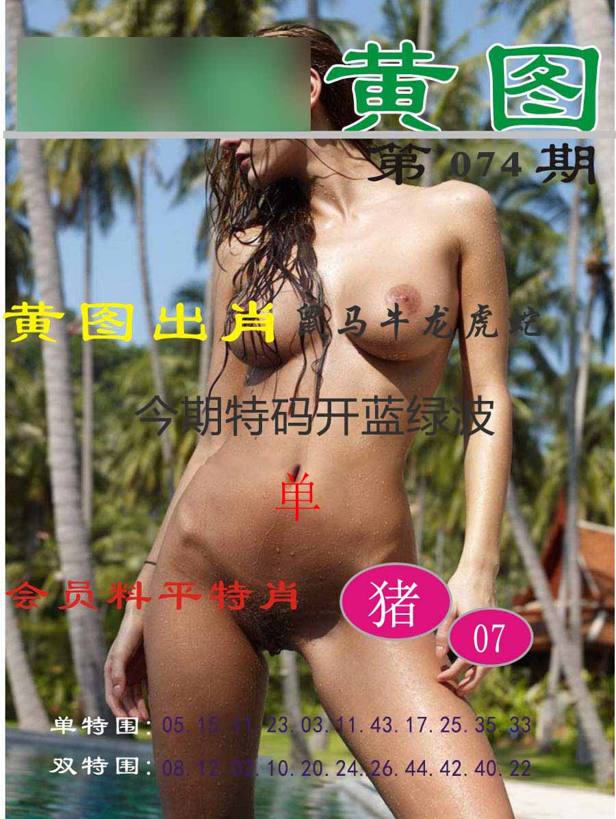 六合彩074期黄图