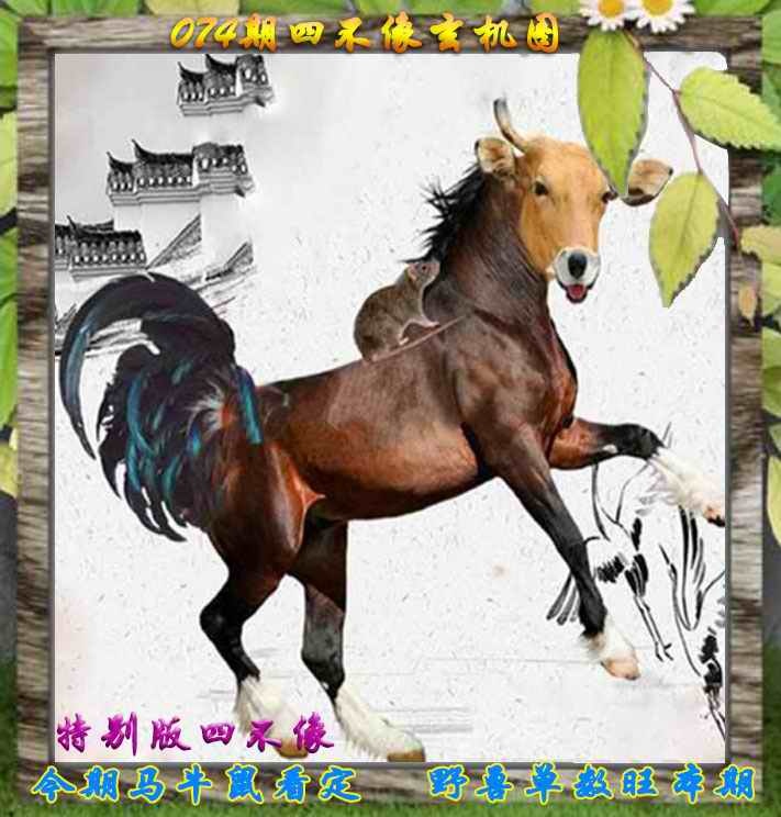 六合彩074期四不像特别版