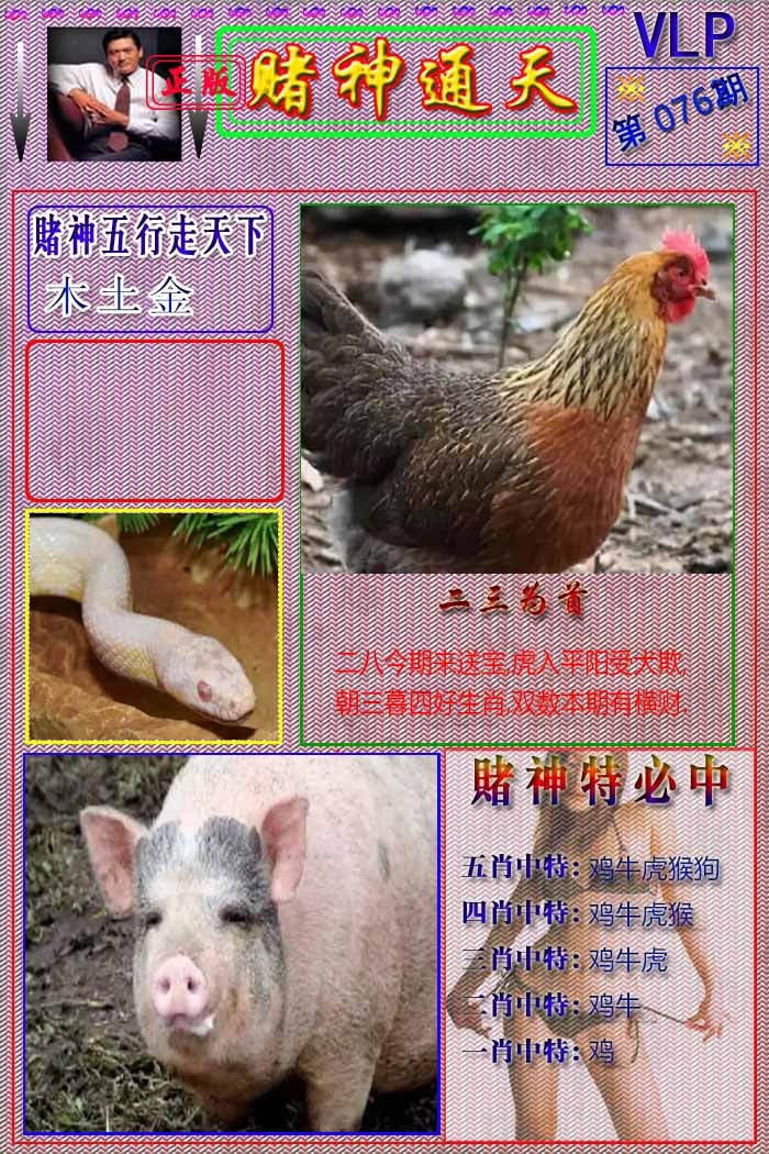 六合彩076期赌神通天报