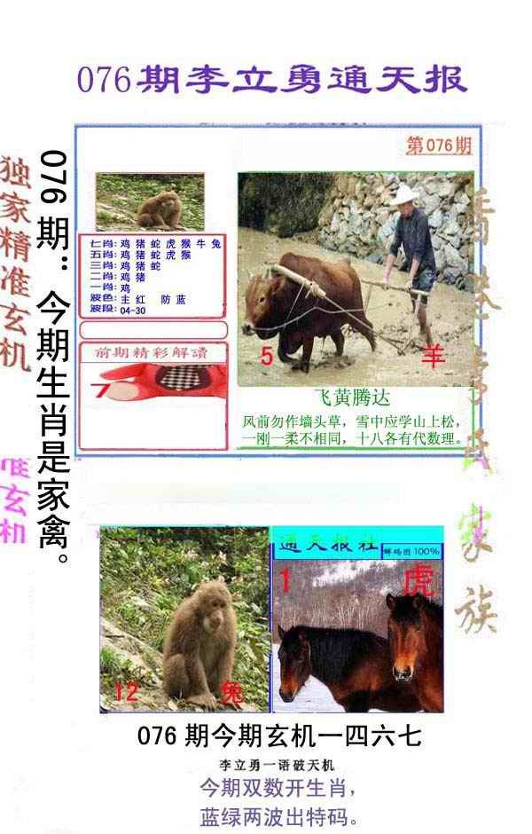 六合彩076期李立勇通天报