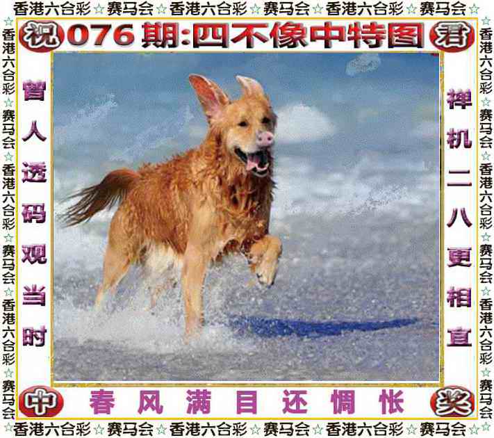 六合彩076期四不像中特图