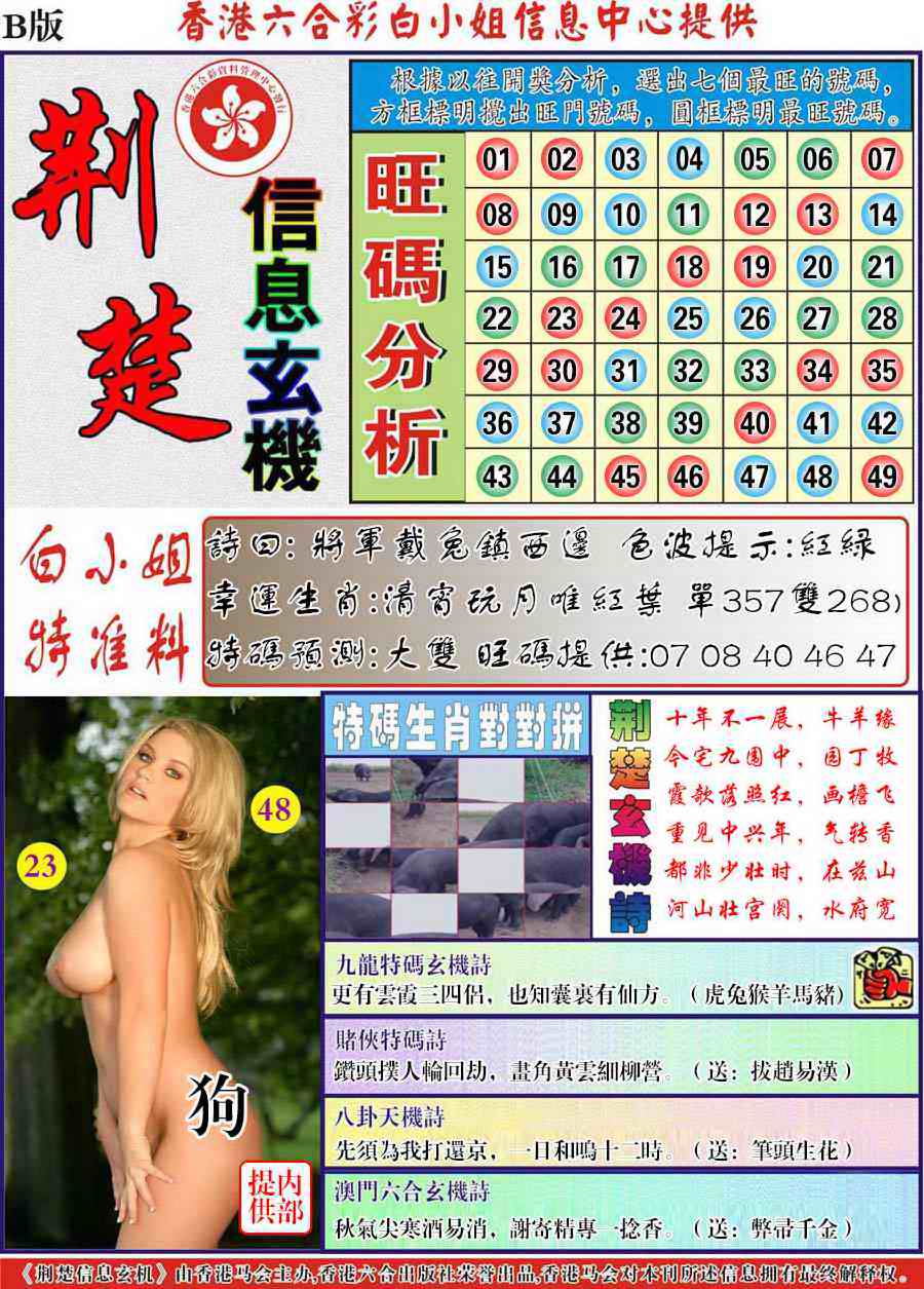 六合彩077期荆楚信息玄机B