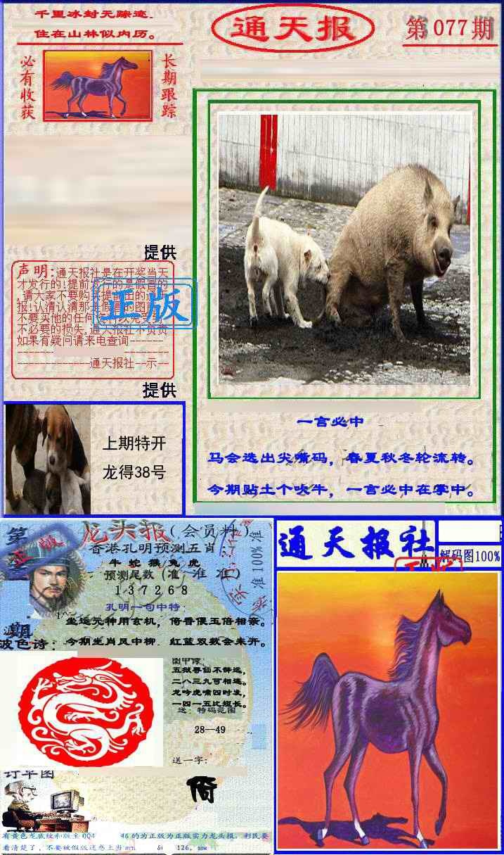 六合彩077期实力通天报